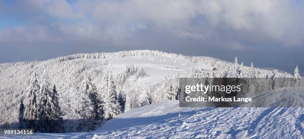 view towards the hotel-restaurant kandelhof and winter landscape on the kandel, black forest, baden-wuerttemberg, germany - kandeel stock pictures, royalty-free photos & images