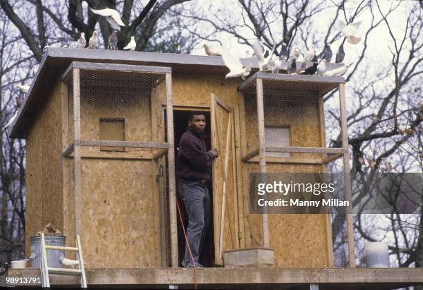 Casual portrait of Mike Tyson outside of his pigeons coup at the home of his surrogate mother Camille Ewald. Catskill, NY 12/1/1985 CREDIT: Manny...