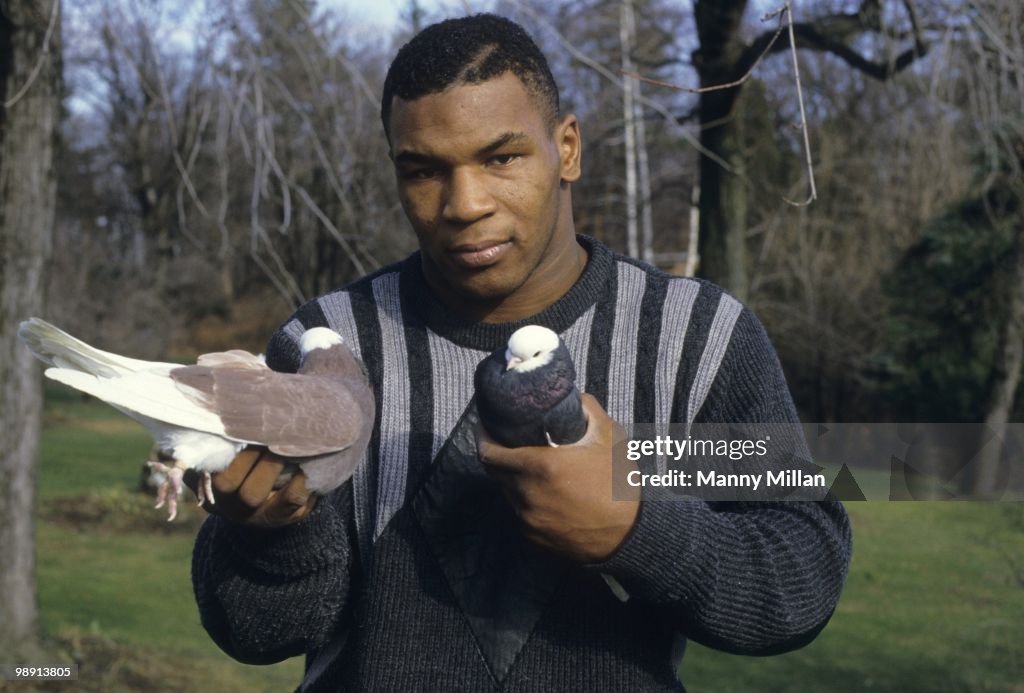 Mike Tyson, Heavyweight Boxing
