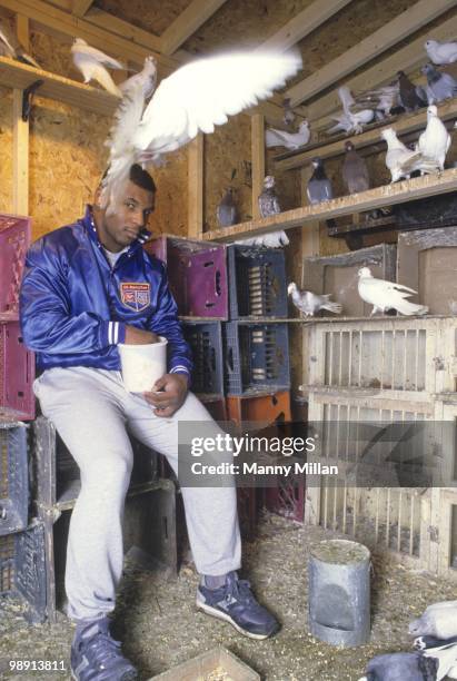 Casual portrait of Mike Tyson inside of his pigeons coup at the home of his surrogate mother Camille Ewald. Catskill, NY 12/1/1985 CREDIT: Manny...