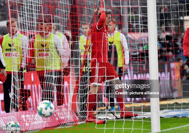 Munich's Robert Lewandowski stands between Cologne's goal posts after a missed chance during the German Bundesliga soccer match between Bayern Munich...