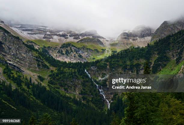 a tree covered mountain valley, bavaria, germany. - karwendel mountains stockfoto's en -beelden