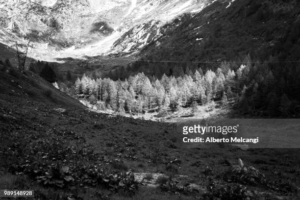introbio (lc), alpi orobie italy - alpi stockfoto's en -beelden