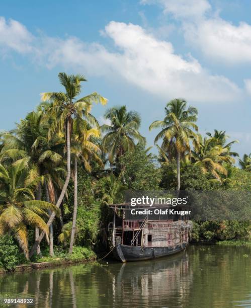 old boat, palm tree fringed backwaters canal system, kerala, malabar coast, south india, india - palm coast stock pictures, royalty-free photos & images