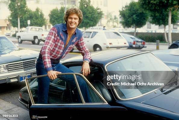 David Hasselhoff Portrait David Hasselhoff Portrait