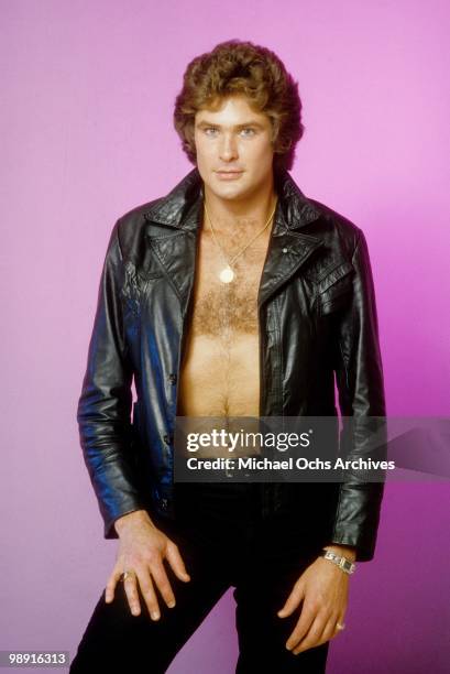 Actor and singer David Hasselhoff poses for a portrait on January 11, 1980 in Los Angeles, California.