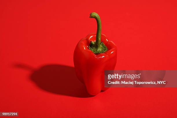 red pepper - bell pepper 個照片及圖片檔