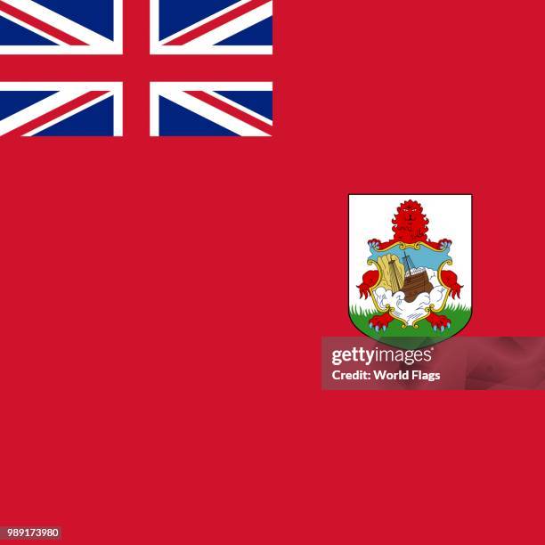 official national flag of bermuda - bermuda flag stock illustrations