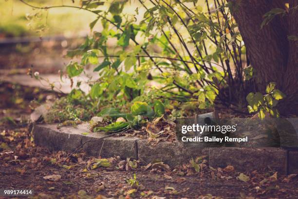 abandoned home - rempel stock pictures, royalty-free photos & images