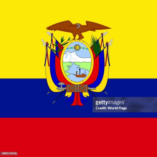 official national flag of ecuador - ecuador flag stock illustrations