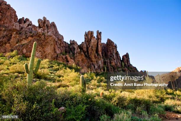 superstition mountains on the peralta trail - amit basu stock pictures, royalty-free photos & images