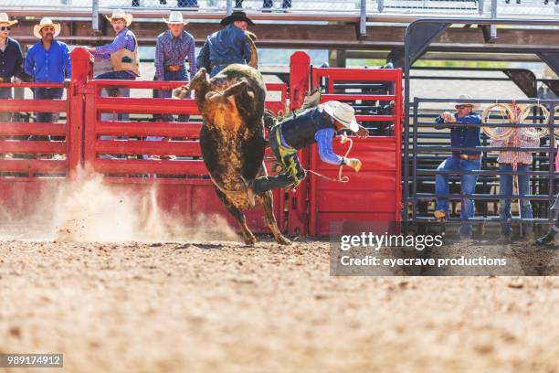 bull riding utah cowboys western im freien und rodeo stampede roundup reiten pferde hüten vieh istock foto-shooting - istock stock-fotos und bilder