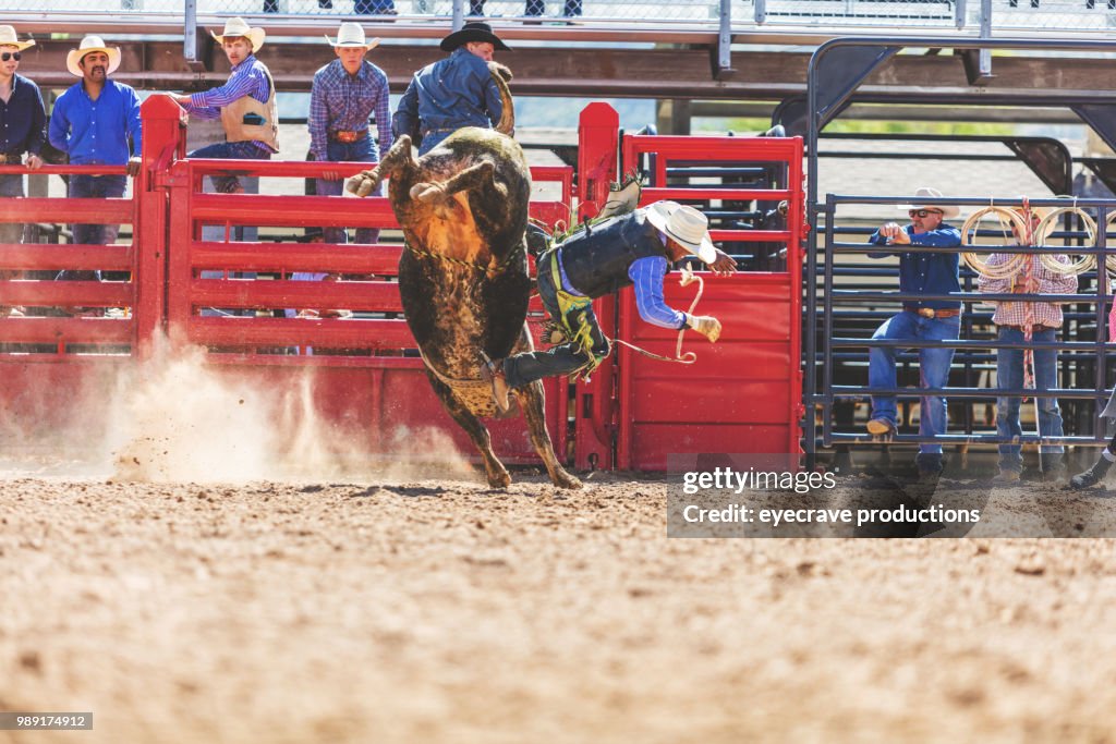 Toro caballo Utah vaqueros Western al aire libre y Rodeo estampida rodeo montando caballos pastoreando ganado iStock Photoshoot