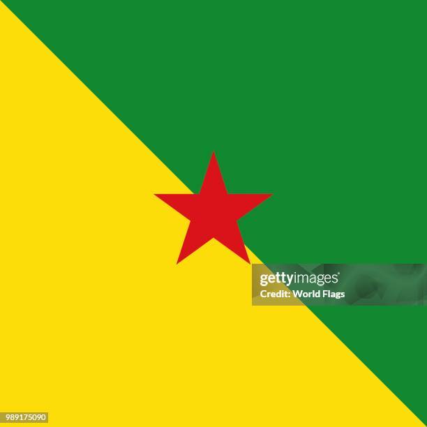 official national flag of french guiana - french guiana stock illustrations