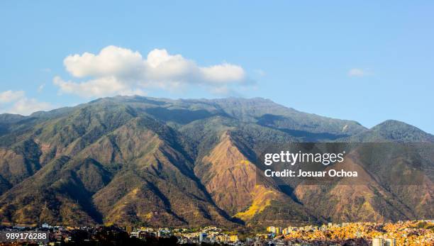 fila maestra del avila caracas - maestra stock pictures, royalty-free photos & images