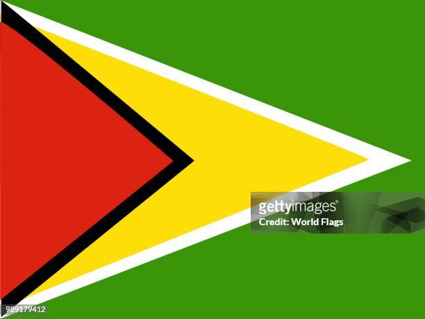 official national flag of guyana - guyana flag stock illustrations