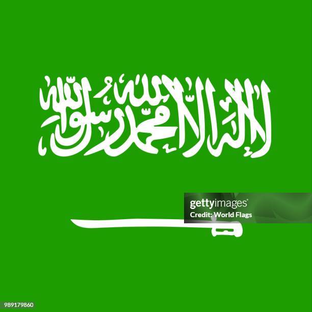 stockillustraties, clipart, cartoons en iconen met official national flag of saudi arabia - arabian peninsula