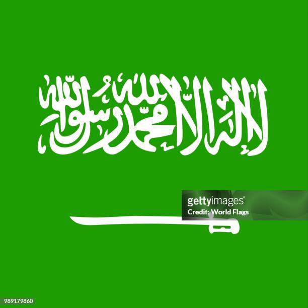 official national flag of saudi arabia - arabian peninsula stock illustrations