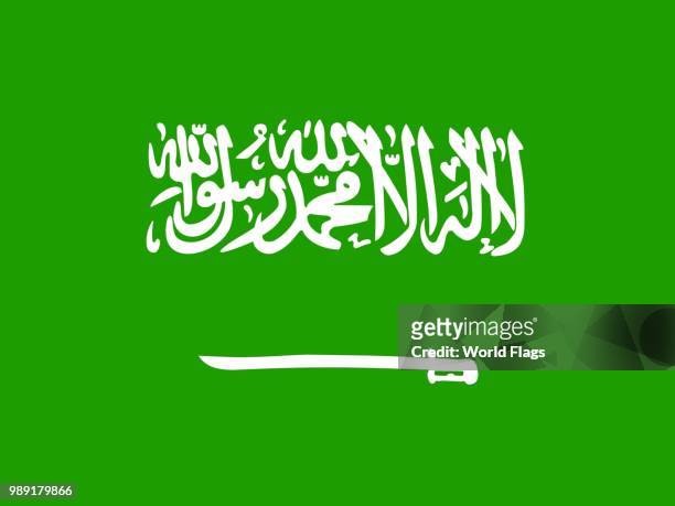 official national flag of saudi arabia - arabian peninsula stock-grafiken, -clipart, -cartoons und -symbole