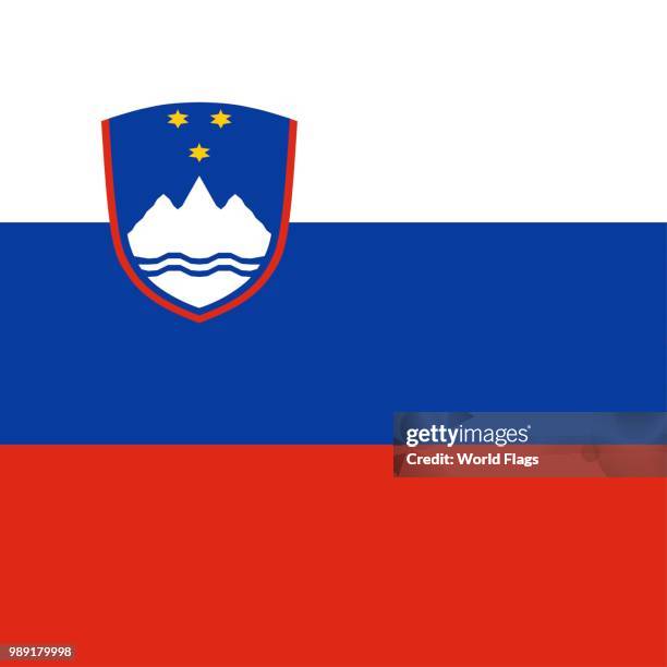 official national flag of slovenia - slovenia flag stock illustrations