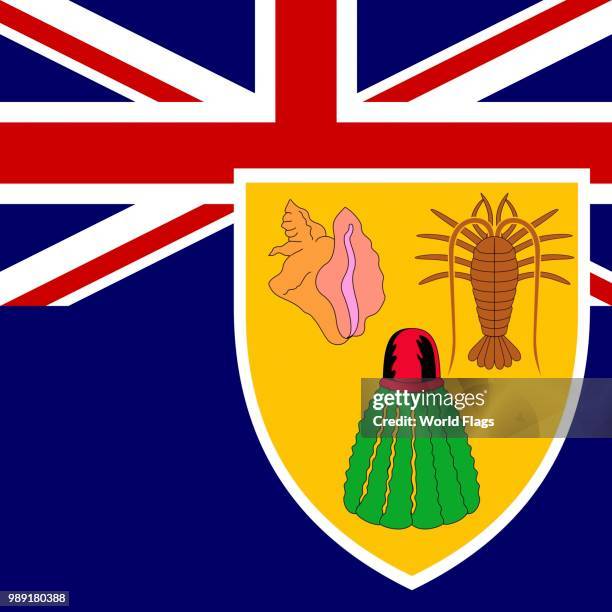 stockillustraties, clipart, cartoons en iconen met official national flag of the turks and caicos islands - turks and caicos islands