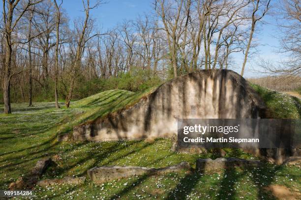 late bronze age burial mounds in the schussenwald forest, siegendorf, northern burgenland, burgenland, austria - siegendorf stock pictures, royalty-free photos & images