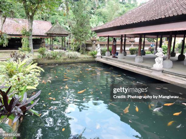 balinese temple - incense coils 個照片及圖片檔