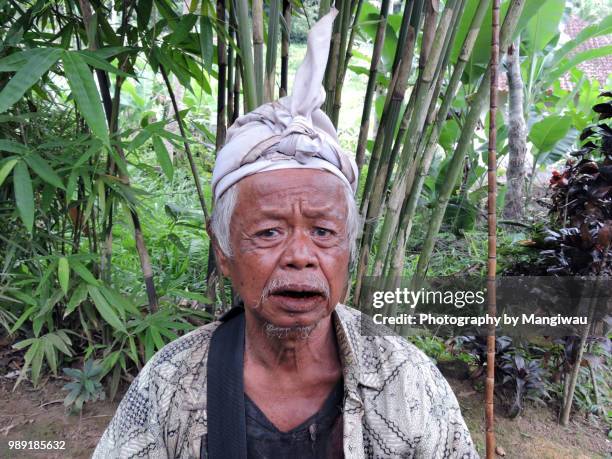 bali man - balinese headdress stock pictures, royalty-free photos & images