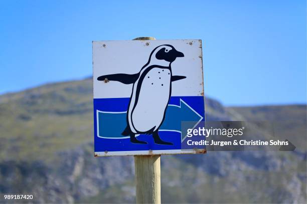 signpost with penguin, betty's bay, western cape, south africa - motif africain foto e immagini stock