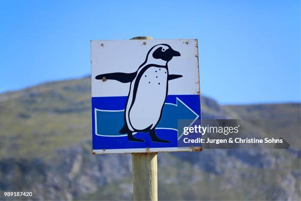 signpost with penguin, betty's bay, western cape, south africa - motif africain stock pictures, royalty-free photos & images