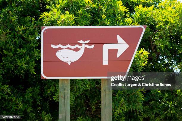 direction sign, whale watching, betty's bay, western cape, south africa - motif africain foto e immagini stock