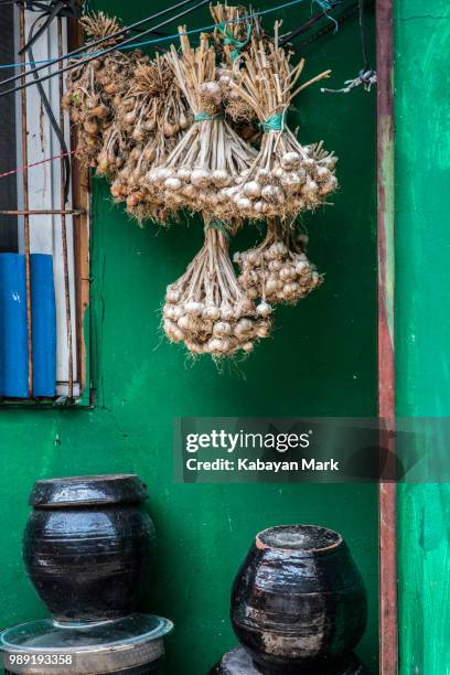 kimchi and garlic partners forever - censer stock pictures, royalty-free photos & images