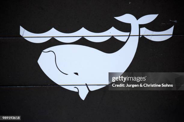 sign, whale watching, betty's bay, western cape, south africa - motif africain foto e immagini stock