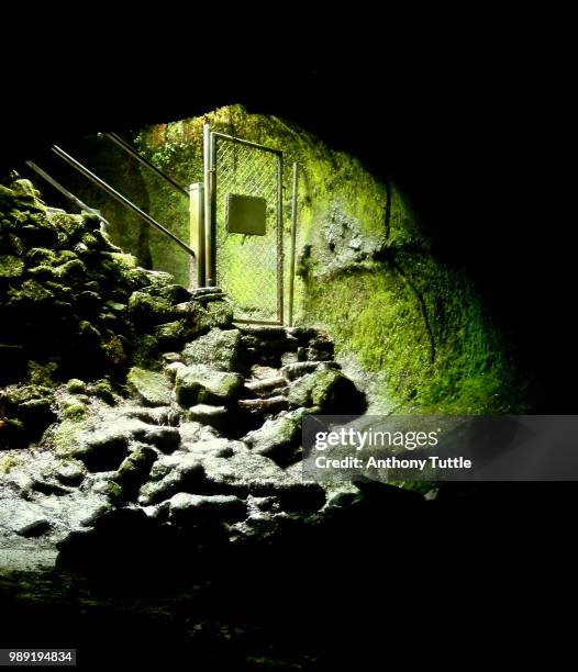 looking out of a lava tube - lava tube stock pictures, royalty-free photos & images