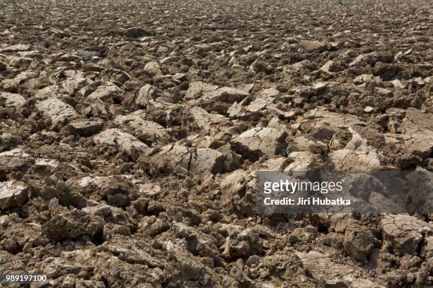 freshly plowed field in spring, lodi, lombardy, italy - lodi lombardy stock pictures, royalty-free photos & images