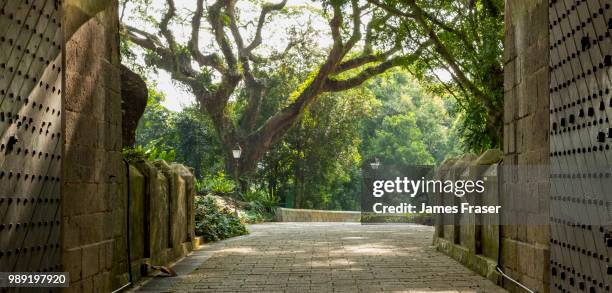 the secret garden - singapore alley stock pictures, royalty-free photos & images