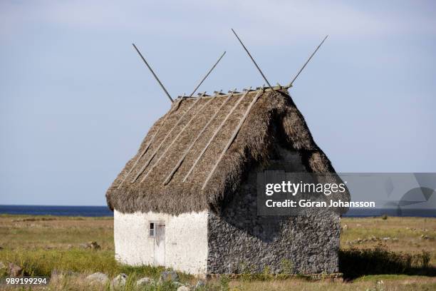 natur faludden gotland - natur fotografías e imágenes de stock