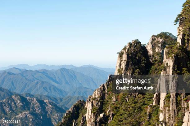 towering granite rocks overgrown with huangshan pines (pinus hwangshanensis), mount huangshan, huang shan, anhui province, china - anhui pastoral stock pictures, royalty-free photos & images