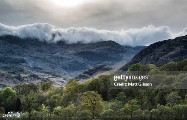 forest landscape next to coniston water in lake district with mo - coniston stock pictures, royalty-free photos & images