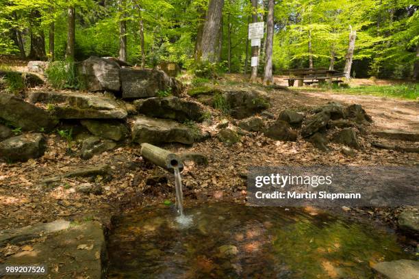 Source Riviere Main Main Source Photos and Premium High Res Pictures - Getty Images