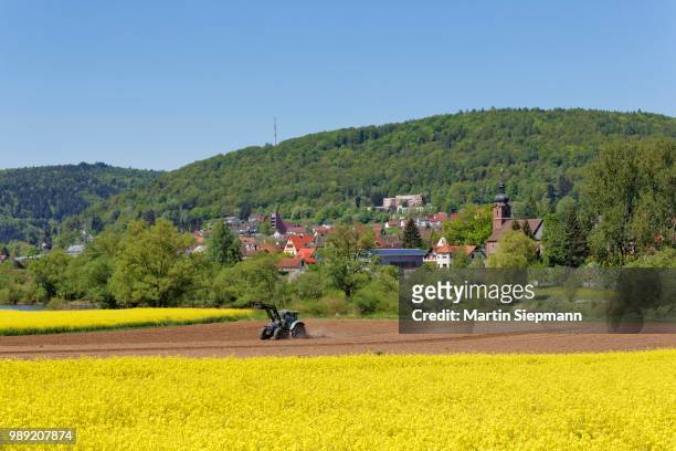 view of sackenbach, near lohr am main, spessart, mainfranken, lower franconia, franconia, bavaria, germany - lohr stock pictures, royalty-free photos & images