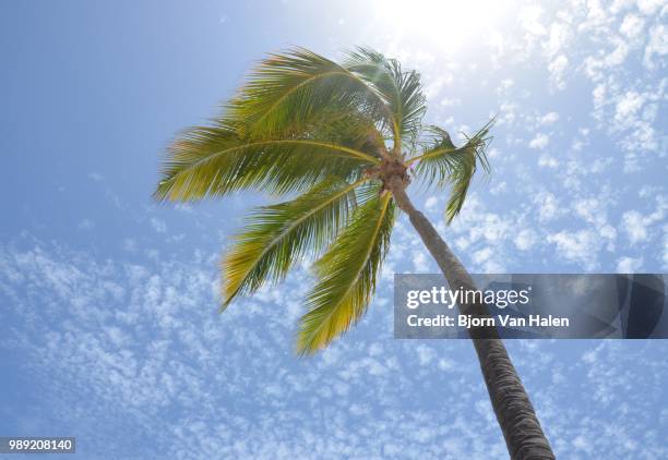 the palm - halten stock pictures, royalty-free photos & images