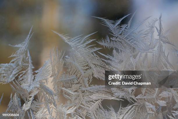 ice and frost on a window, eastern townships, waterloo, quebec, canada - eastern townships stockfoto's en -beelden