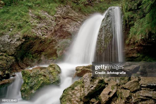 wasserfall - wasserfall stock pictures, royalty-free photos & images