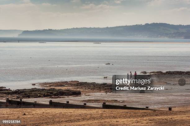 Shell Exmouth 109 Exmouth Island Stock Photos, High-Res Pictures, and Images - Getty ...