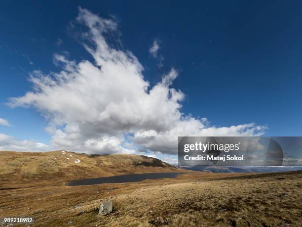 welcome to scotland - sokol stock pictures, royalty-free photos & images