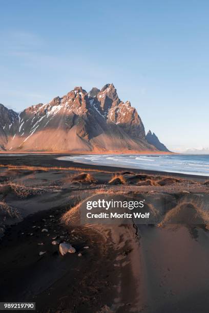 evening atmosphere, black sand beach, dunes with dry grass, mountains klifatindur, eystrahorn and kambhorn, headland stokksnes, massif klifatindur, austurland, east iceland, iceland - austurland stock pictures, royalty-free photos & images