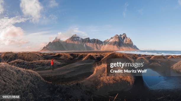 evening atmosphere at the long lava beach, man between black sand dunes covered with dry grass, mountains klifatindur, eystrahorn and kambhorn, headland stokksnes, mountain range klifatindur, austurland, east iceland, iceland - austurland stock pictures, royalty-free photos & images