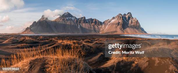 evening atmosphere at the long lava beach, black sandy beach, dunes covered with dry grass, mountains klifatindur, eystrahorn and kambhorn, headland stokksnes, mountain range klifatindur, austurland, east iceland, iceland - austurland stock pictures, royalty-free photos & images