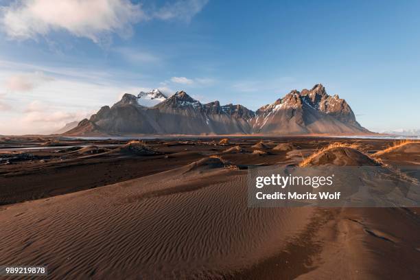 evening atmosphere at the long lava beach, black sandy beach, dunes covered with dry grass, mountains klifatindur, eystrahorn and kambhorn, headland stokksnes, mountain range klifatindur, austurland, east iceland, iceland - austurland stock pictures, royalty-free photos & images